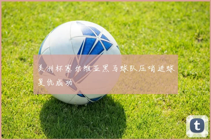美洲杯塞尔维亚黑马球队压哨进球复仇成功