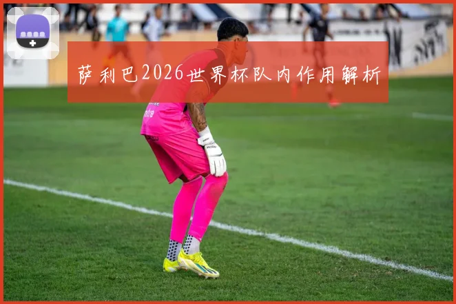萨利巴2026世界杯队内作用解析