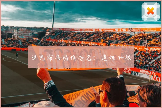 津巴布韦防线告急:危机升级