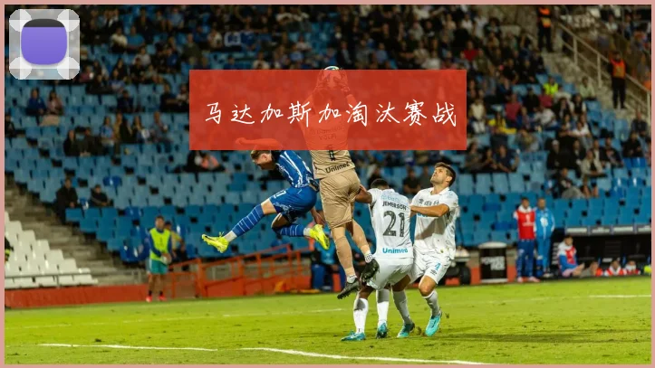 马达加斯加淘汰赛战