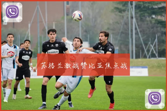 苏格兰激战赞比亚焦点战