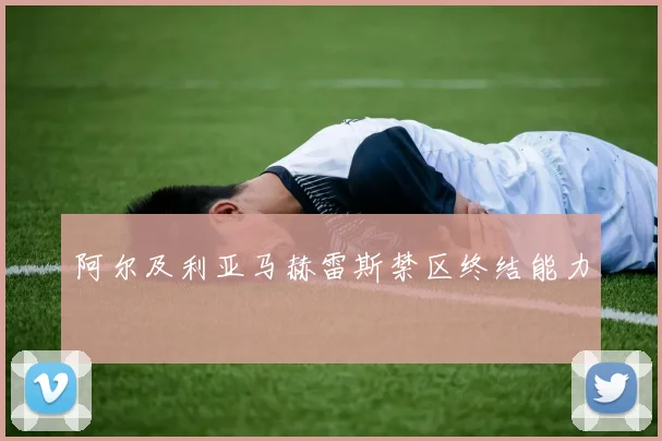 阿尔及利亚马赫雷斯禁区终结能力