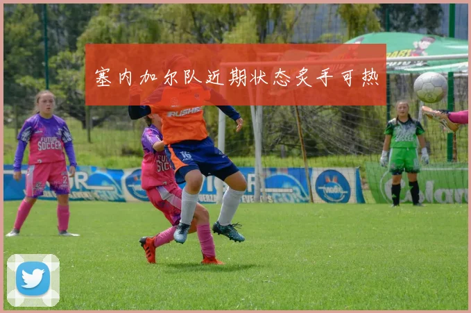 塞内加尔队近期状态炙手可热