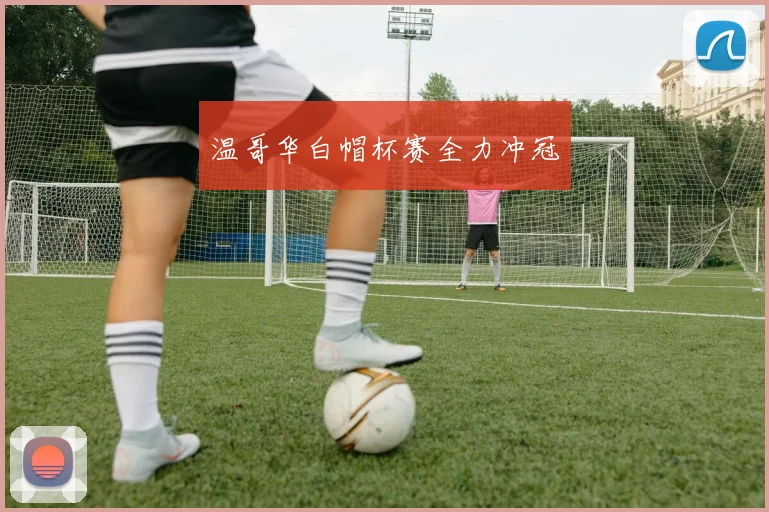 温哥华白帽杯赛全力冲冠