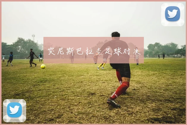 突尼斯巴拉圭足球对决