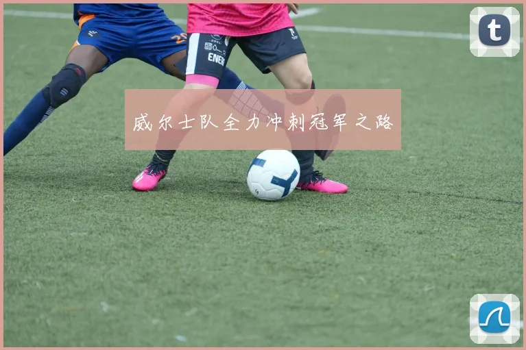 威尔士队全力冲刺冠军之路
