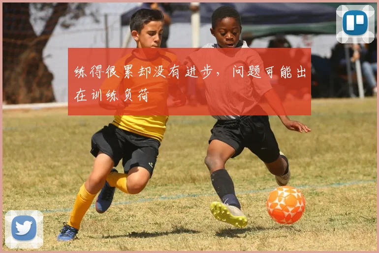 练得很累却没有进步,问题可能出在训练负荷
