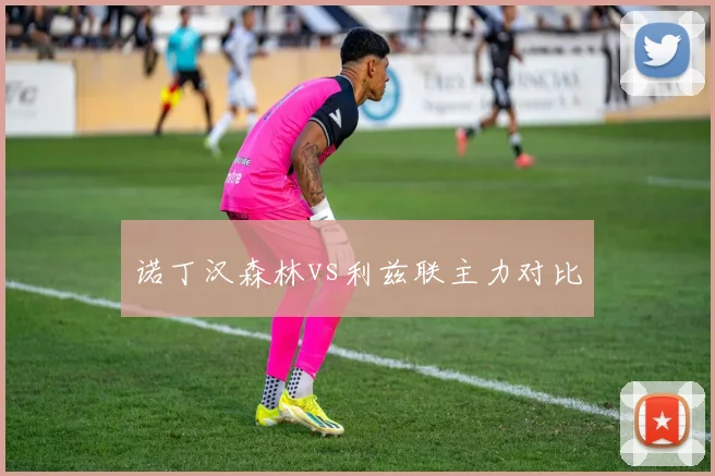 诺丁汉森林vs利兹联主力对比