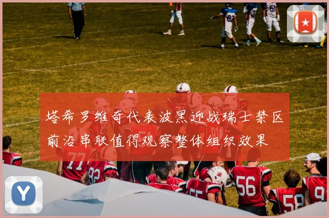 塔希罗维奇代表波黑迎战瑞士禁区前沿串联值得观察整体组织效果