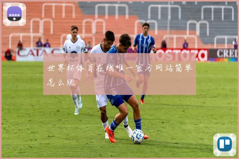 世界杯体育在线唯一官方网站简单怎么玩