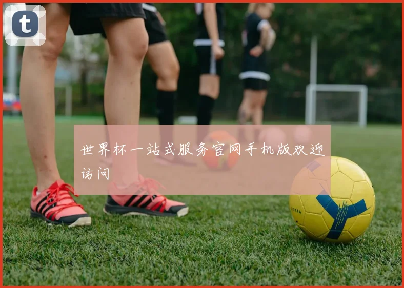 世界杯一站式服务官网手机版欢迎访问