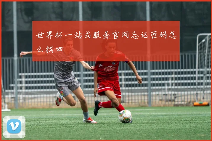 世界杯一站式服务官网忘记密码怎么找回