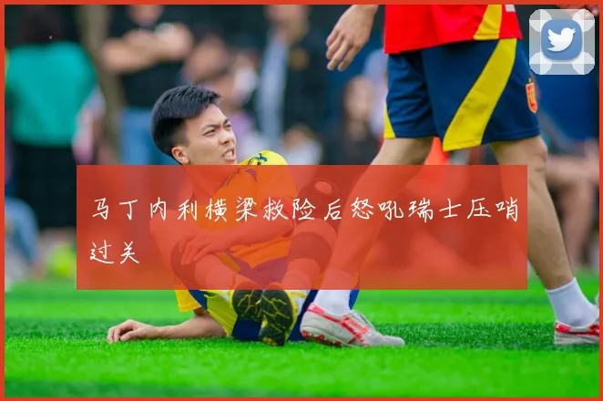 马丁内利横梁救险后怒吼瑞士压哨过关
