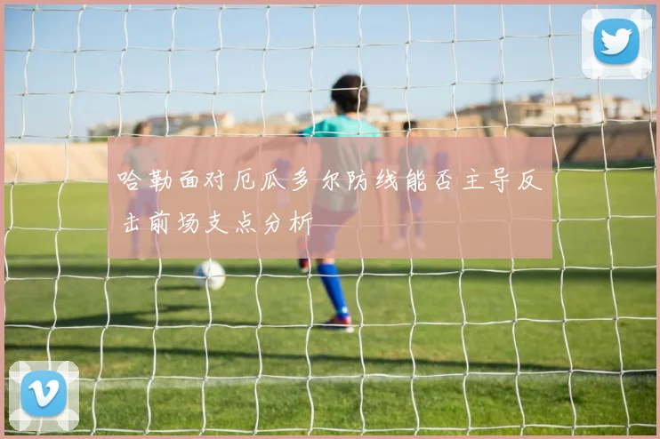 哈勒面对厄瓜多尔防线能否主导反击前场支点分析